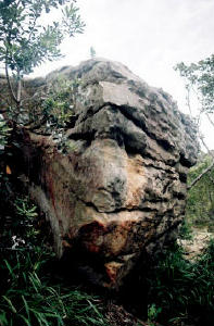 Carved Head 