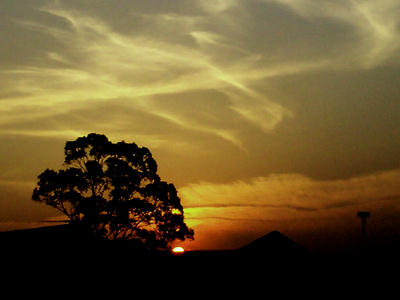 Sunset -  Sydney Australia